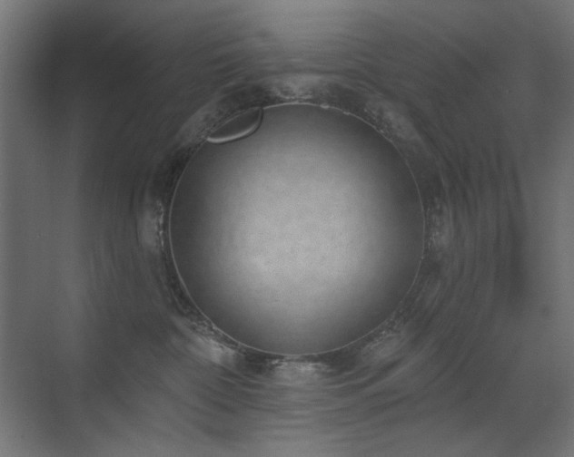 X0000072510332200607141138