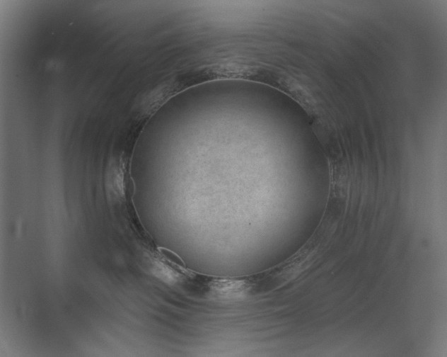 X0000072510334200607141138