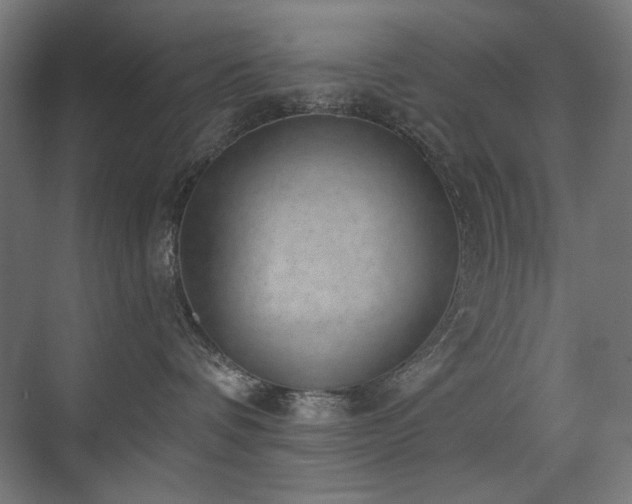 X0000072510336200607141138