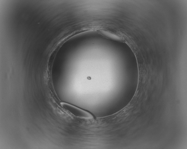 X0000072510338200607141137