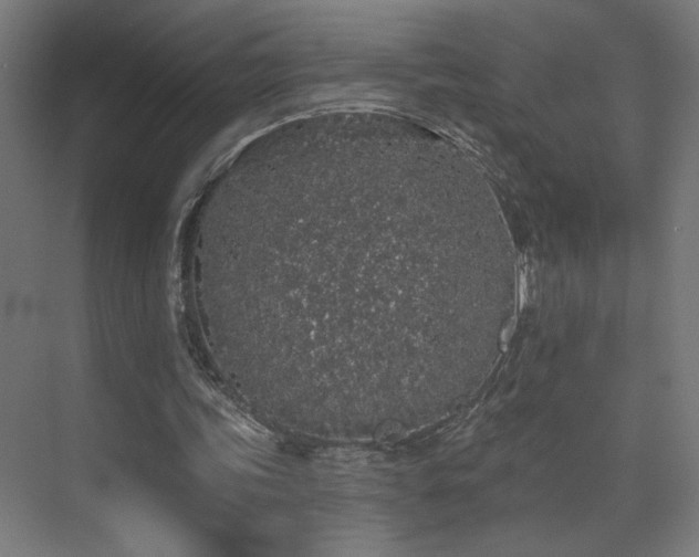 X0000072510339200607141138