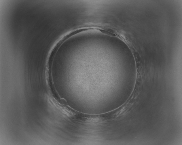 X0000072510342200607141138