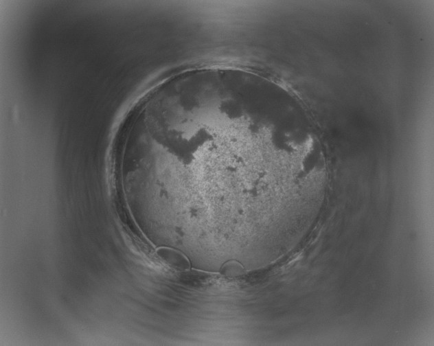 X0000072510343200607141138