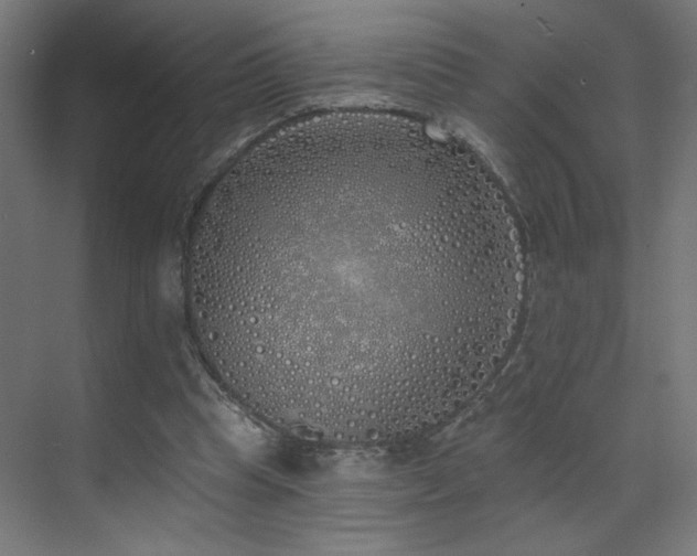 X0000072510345200607141138