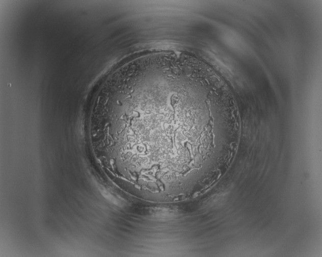 X0000072510347200607141138