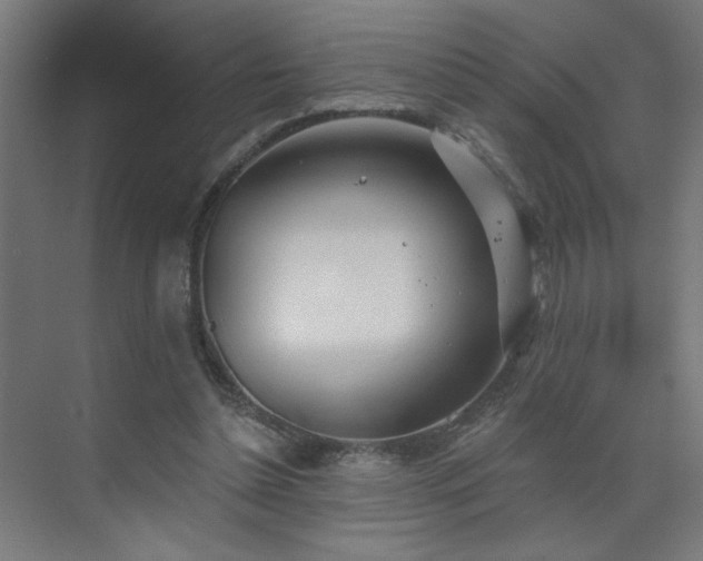 X0000072510348200607141138