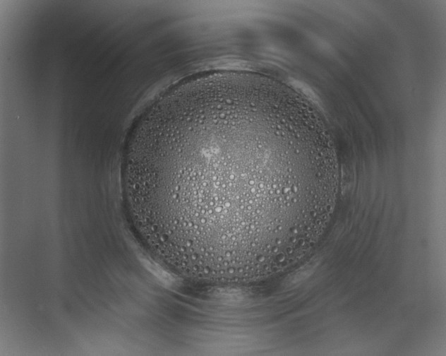 X0000072510349200607141138