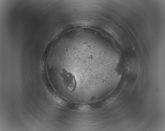 X0000072510355200607141138