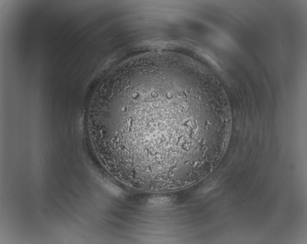 X0000072510357200607141138