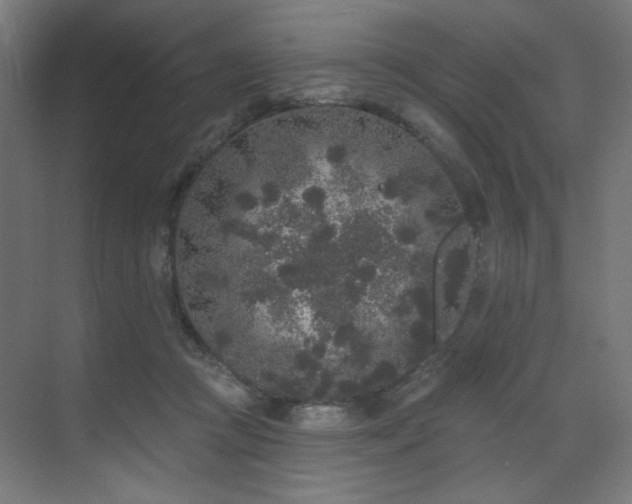 X0000072510361200607141138