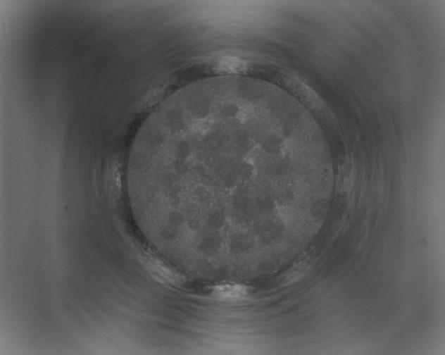 X0000072510363200607141138