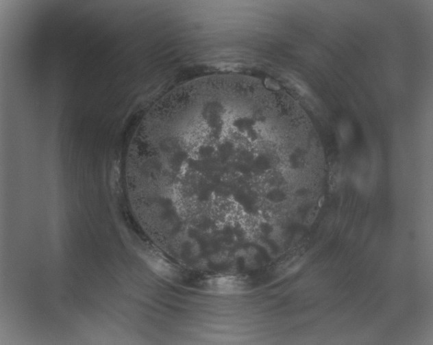 X0000072510365200607141138