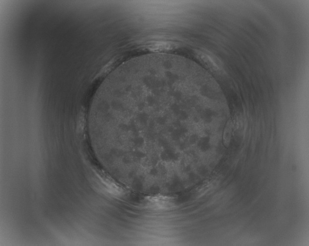 X0000072510367200607141138