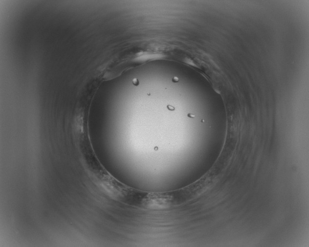 X0000072510368200607141138