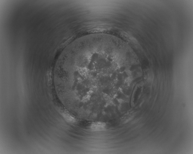 X0000072510369200607141138