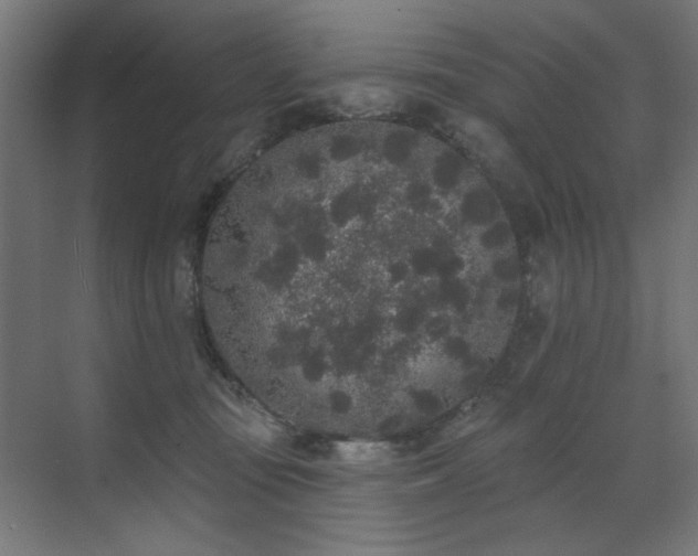 X0000072510371200607141138