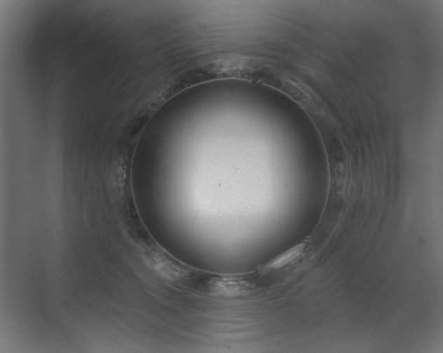 X0000072510372200607141138