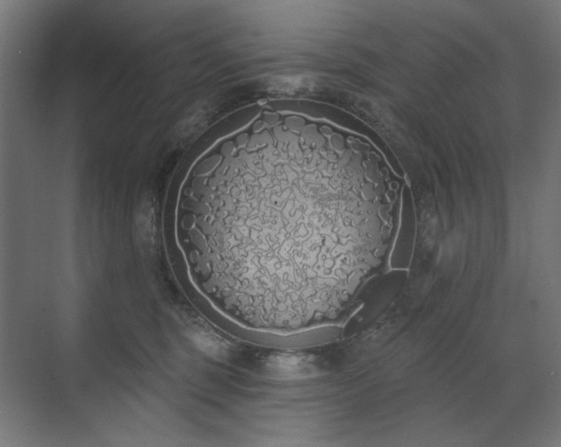 X0000072510375200607141138