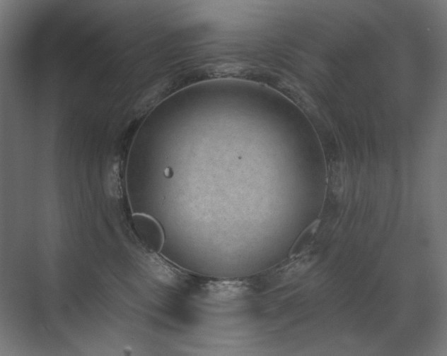 X0000072510378200607141138