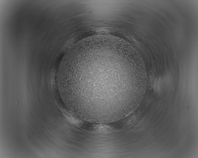 X0000072510379200607141138