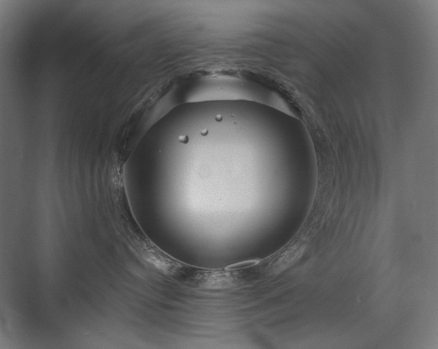 X0000072510384200607141138