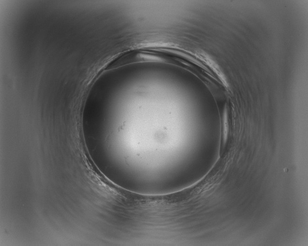 X0000072510385200607141137