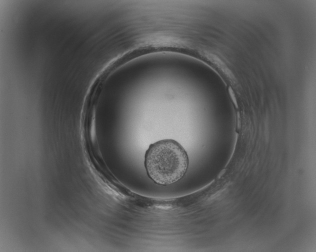 X0000072510391200607141137