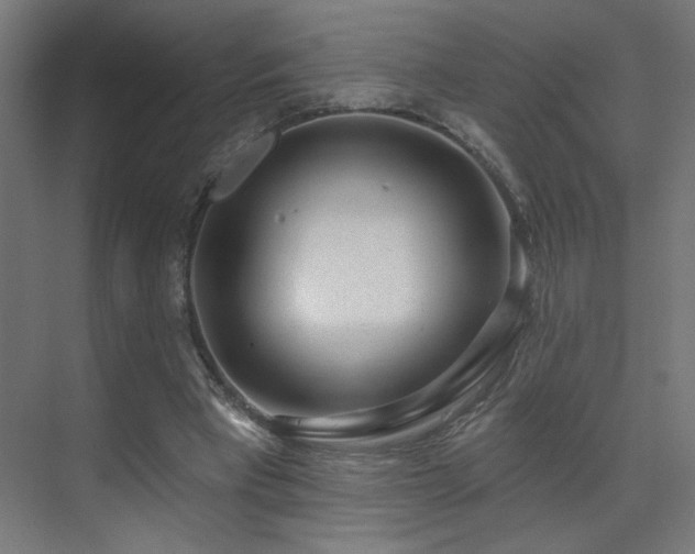 X0000072510393200607141137