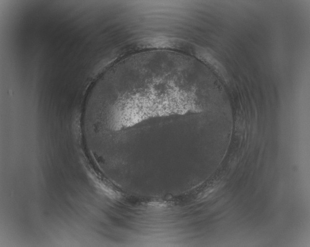 X0000072510394200607141137