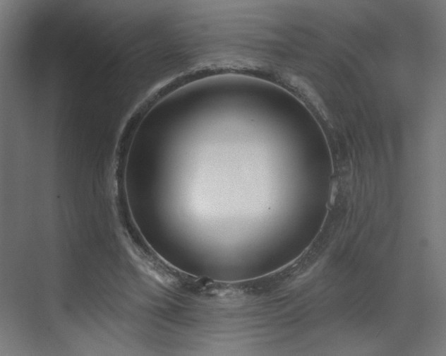 X0000072510395200607141137