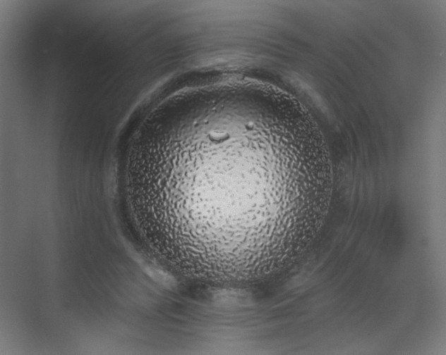 X0000072510400200607141137