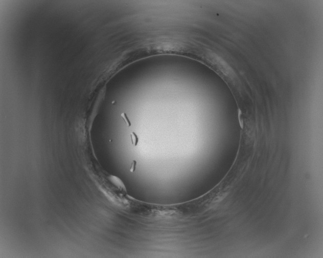 X0000072510401200607141137