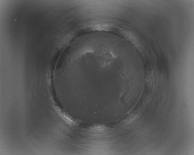 X0000072510402200607141137