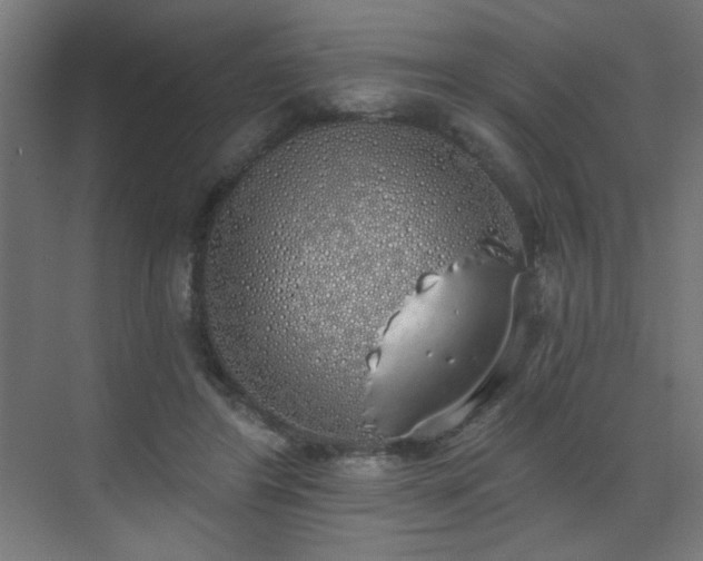 X0000072510404200607141137