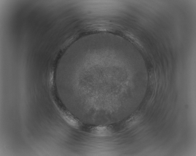 X0000072510406200607141137