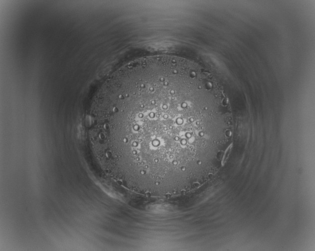 X0000072510408200607141137