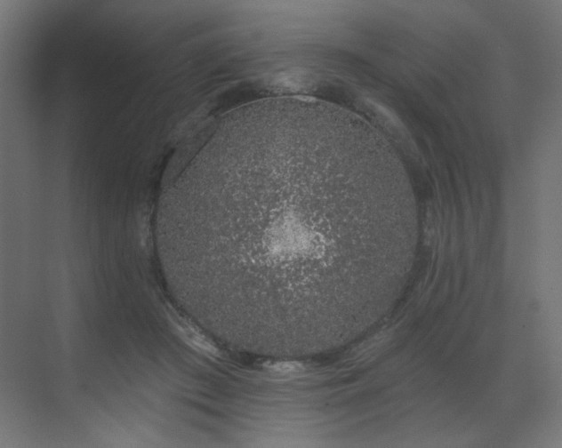 X0000072510409200607141137