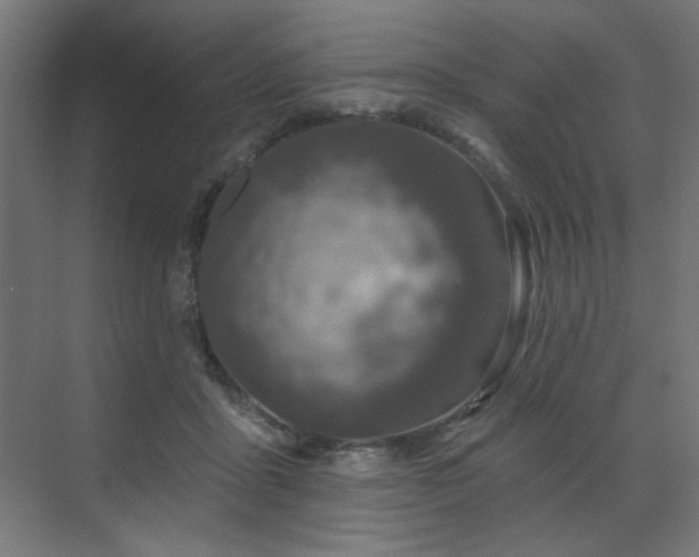 X0000072510411200607141137