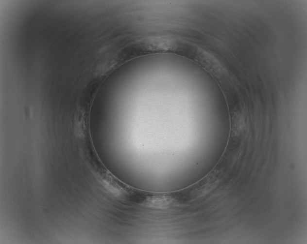 X0000072510414200607141137