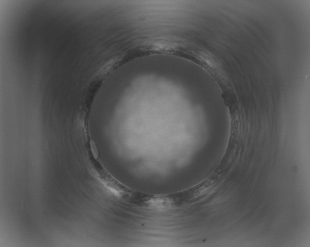 X0000072510415200607141137