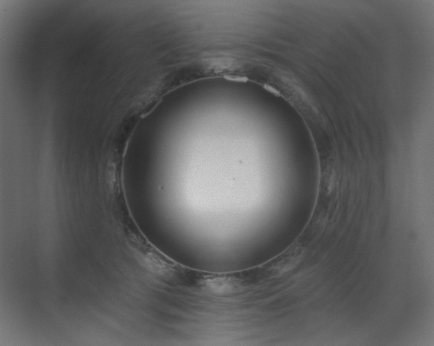 X0000072510417200607141137