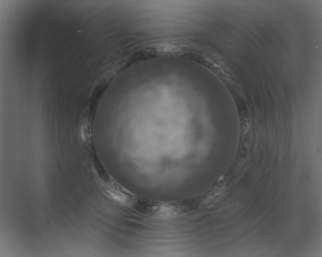 X0000072510419200607141137