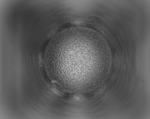 X0000072510420200607141137