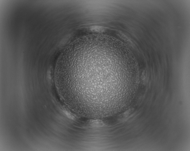 X0000072510424200607141137