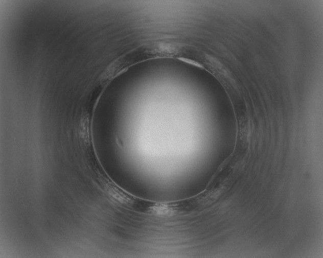 X0000072510425200607141137