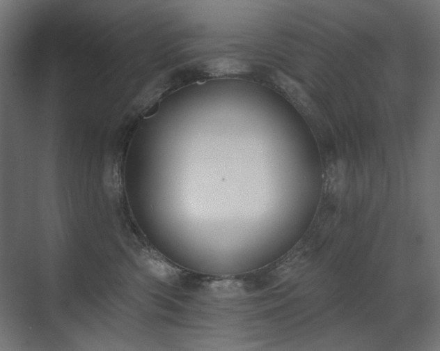 X0000072510426200607141137