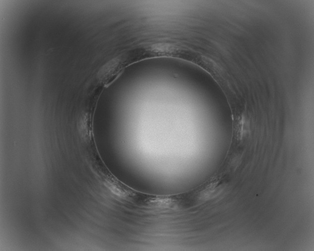 X0000072510428200607141137