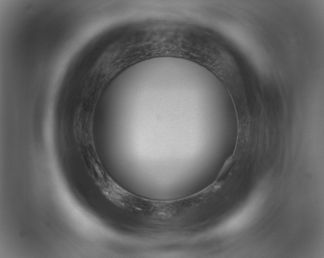 X0000072510431200607141137