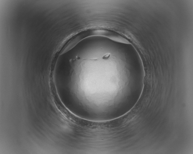 X0000072510434200607141136