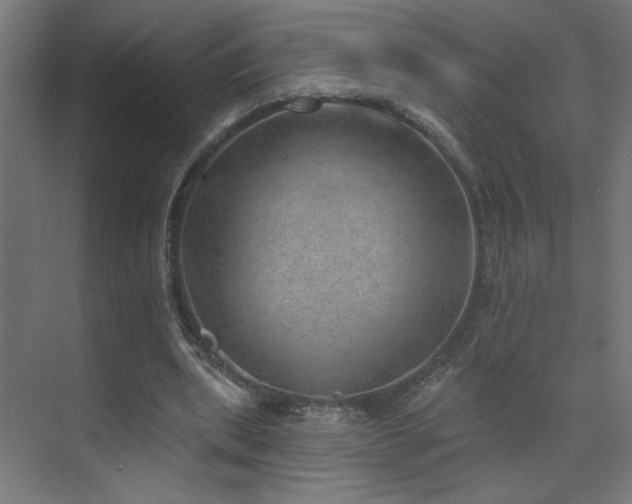 X0000072510439200607141136